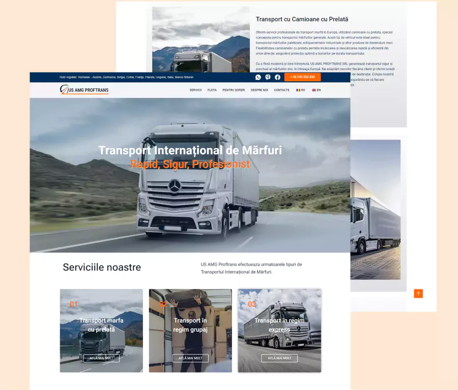 US-AMG-PROFTRANS creare site