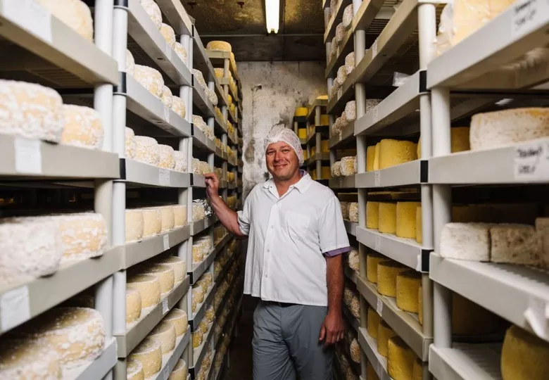 creare site pentru producatori din Romania